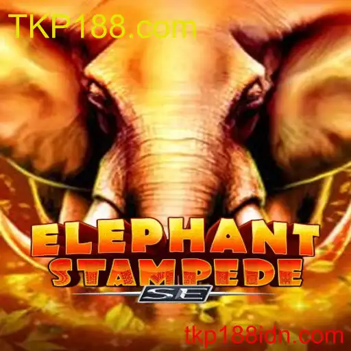 ElephantStampedeSE